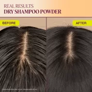 Roots of Transformation Pack The Rootist