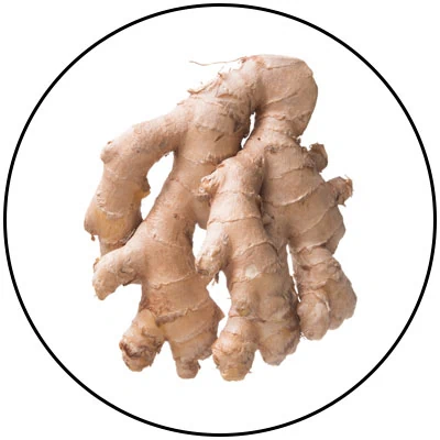 Amare Digestive – Full Spectrum Enzyme Blend for Gut Health Support