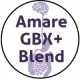 Amare Kids FundaMentals™ – Gut-Brain Axis Nutrition for Growing Kids